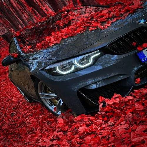 رائوف فایک скандалы